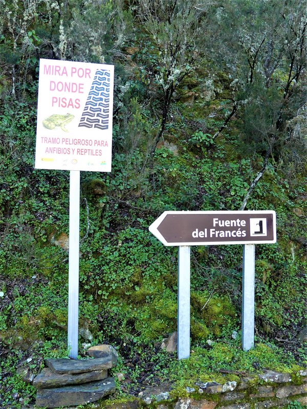 PARQUE NACIONAL DE MONFRAGÜE-2020/2023 - Extremadura y sus pueblos -2010-2023 (100)