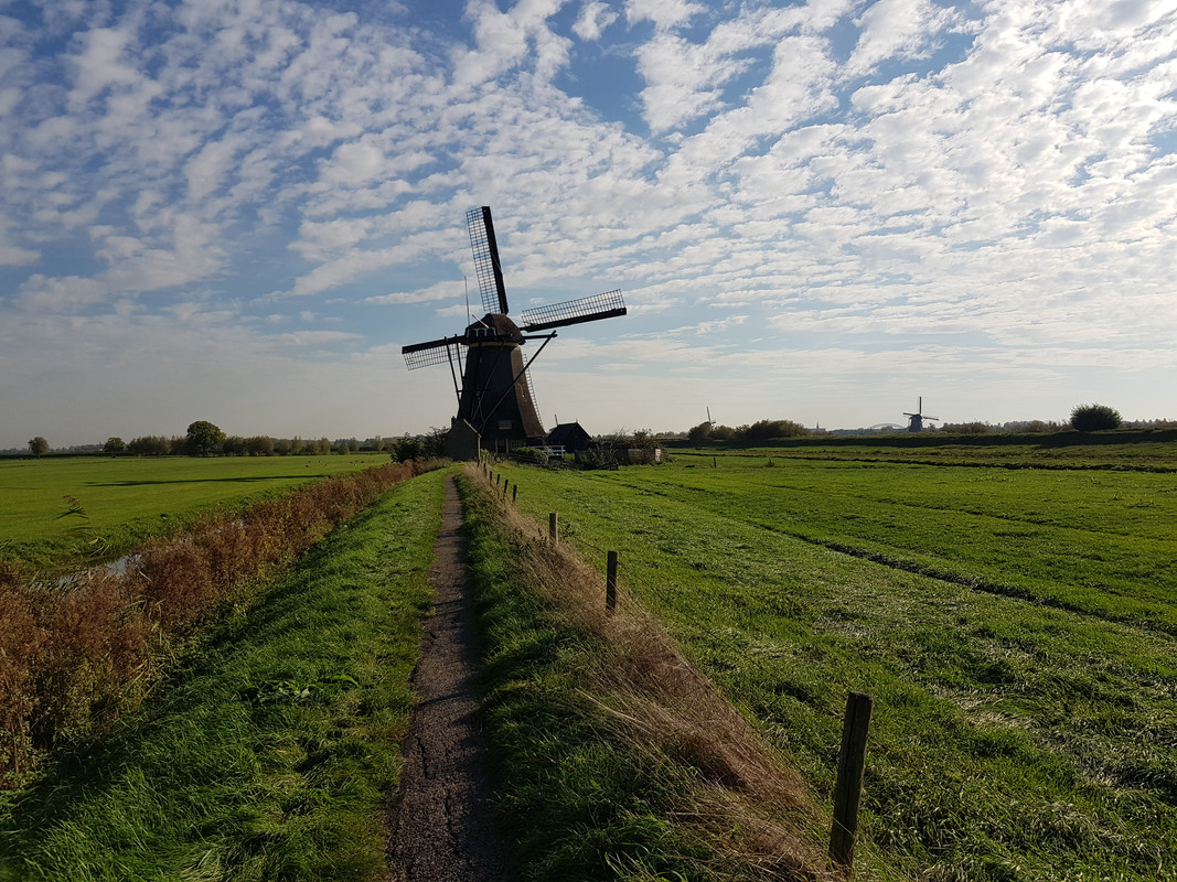 Pieter, Kleine of Lage Molen 01 Nieuw-Lekkerland (Kinderdijk) 16
