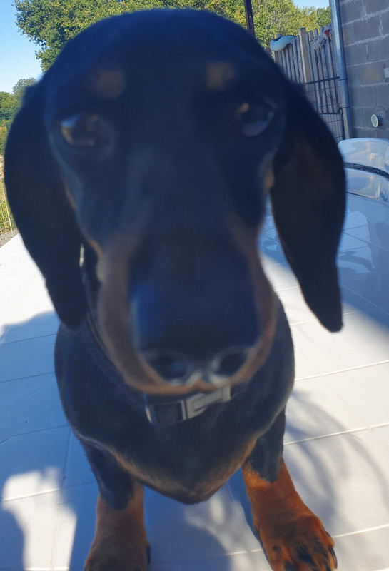 [Image: 20220711-184957.jpg]