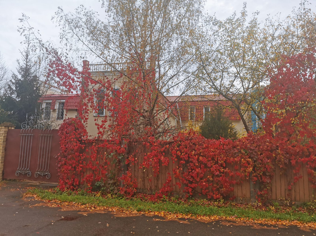 446F1942-1D8C-438C-80B1-2F91D88D9B92