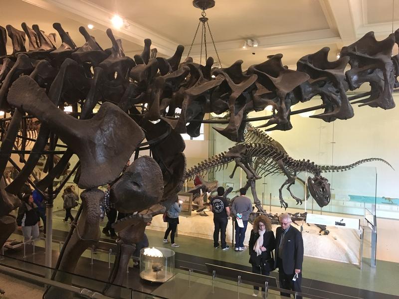 79D616ED-A81C-4D3C-9970-8512C50DA64A