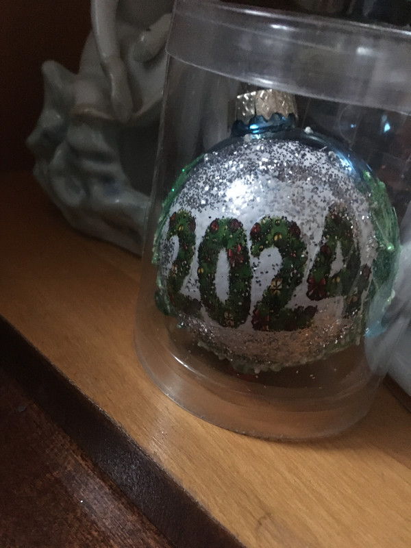 К прогулке 21.12.23 от Ларисы 042