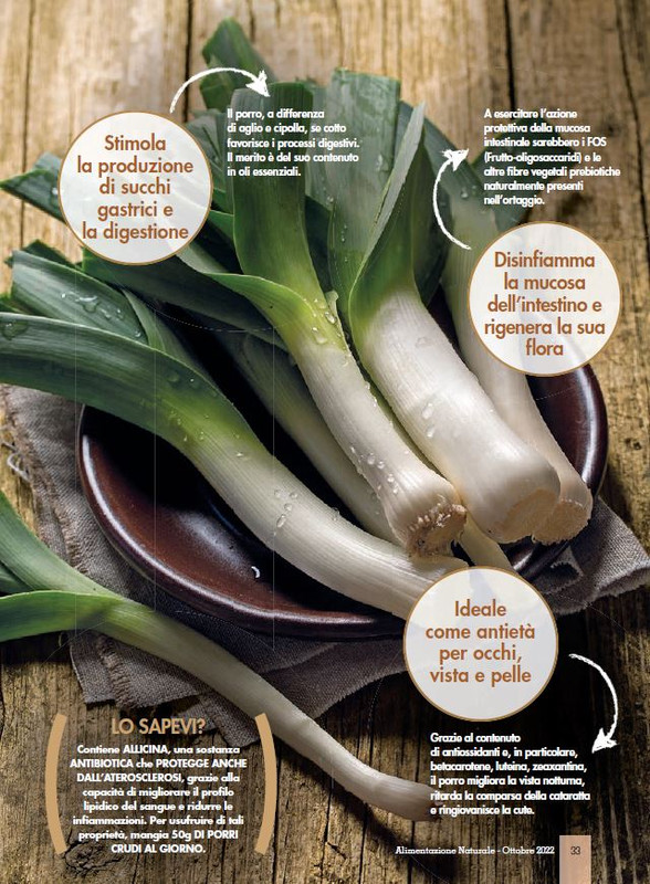 Alim Nat Ott 2022 (6)