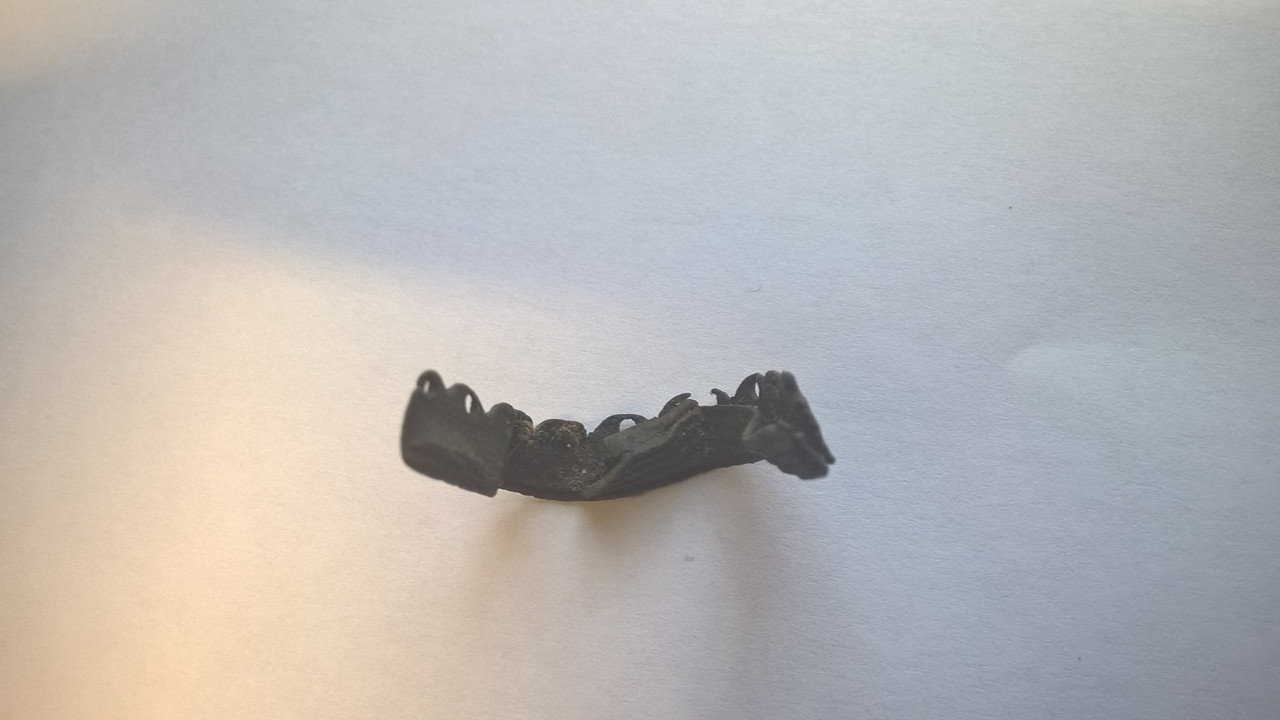 WP_20160525_15_09_53_Pro