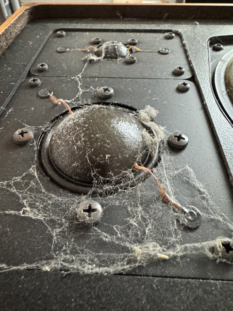 [Bild: IMG-1706.jpg]