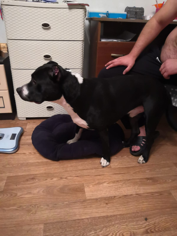 BAAC4A9E-8D9D-4A9B-B9D7-7B7003E06A46