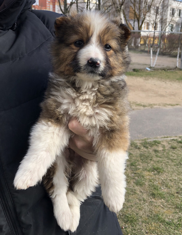 2DBE21A8-85C3-42E8-B7BA-0670F14201F4