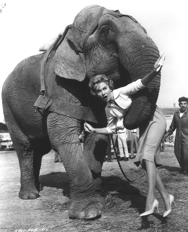 rhonda_fleming_a89
