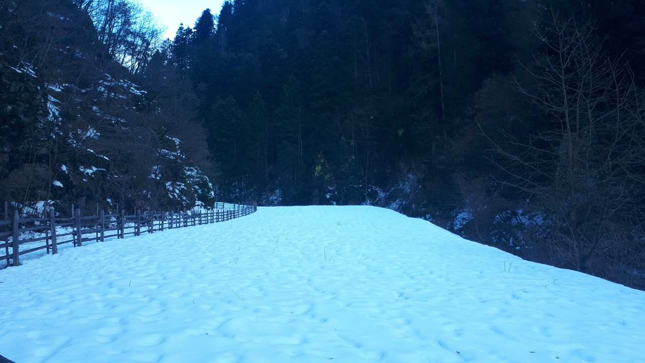 20190225_155654
