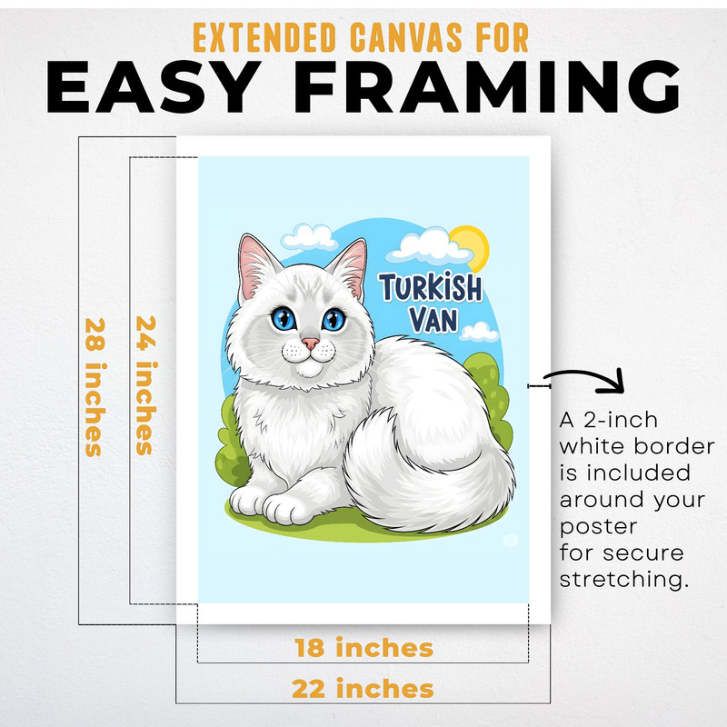 (IP008371C) Turkish Van