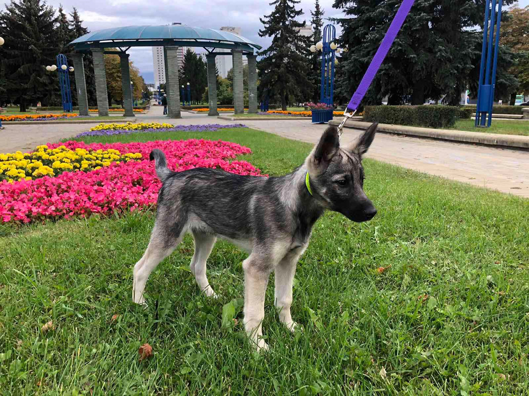 DD5D4E1B-7054-42A1-96BC-808DA270F584