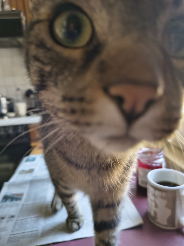 IMG 20260716 095037267 HDR