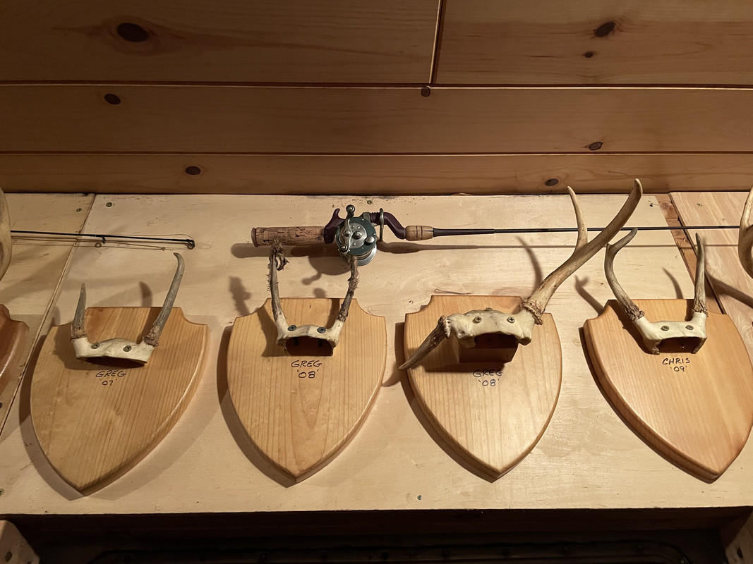 E1FCA267-CF26-49B1-BAC4-56FC5706CCE8