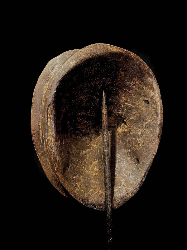 large image 10