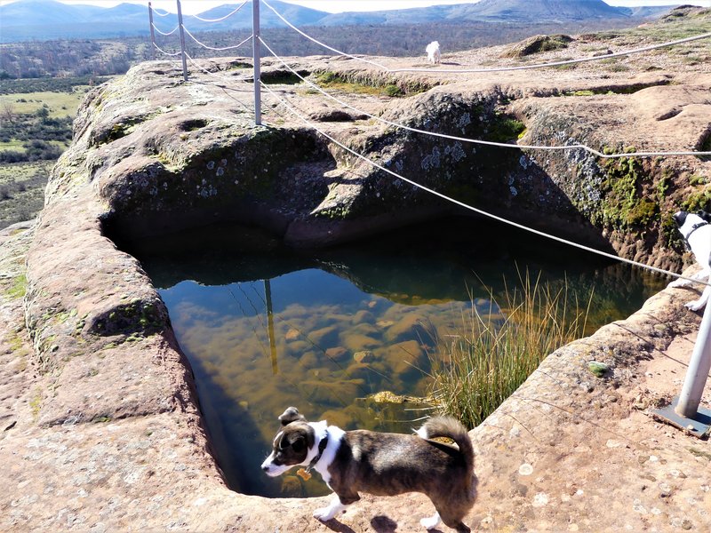 YACIMIENTO ARQUEOLOGICO DE TIERMES-16-2-2020 - Soria y sus pueblos-2010/2013/2020 (46)