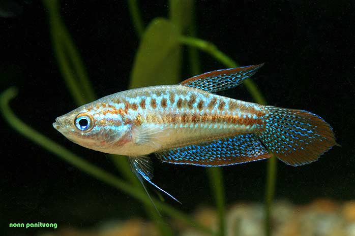 1613D321-D76A-4E21-8E53-4045A75328E0