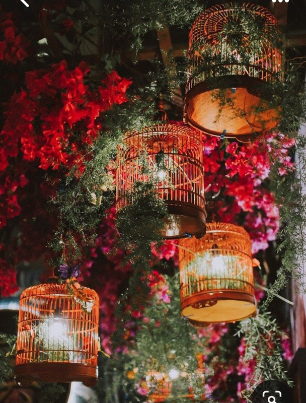 Screenshot_20230907_193248_Pinterest