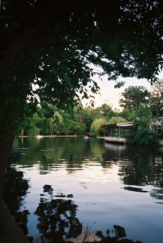 R1-09393-0007.jpg