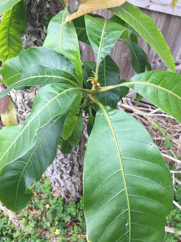 5ACFC934-9E39-40AA-852E-43A49809E9FA