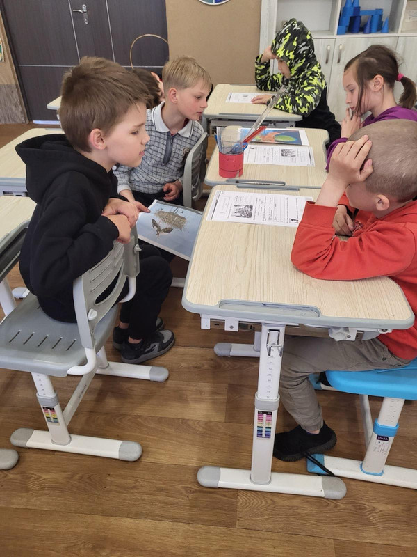 изображение_viber_2024-04-29_09-36-32-784