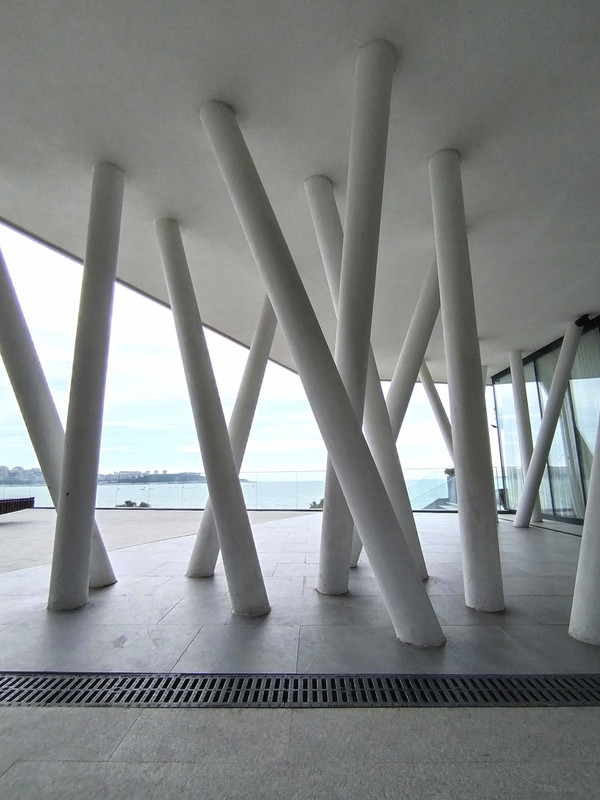 IMG_20230408_135639_edit_80931173467302