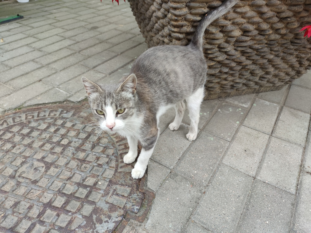 B0D6CC06-FB0D-40F1-842D-C43D417994F2