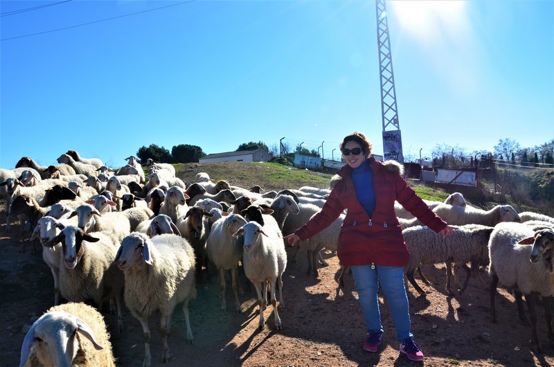 MADRID Y SUS PUEBLOS-2000/2022 - Blogs de España - CHINCHON-4-1-2015 (28)