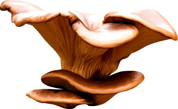 TADD_elements_ShimmerFall (46)