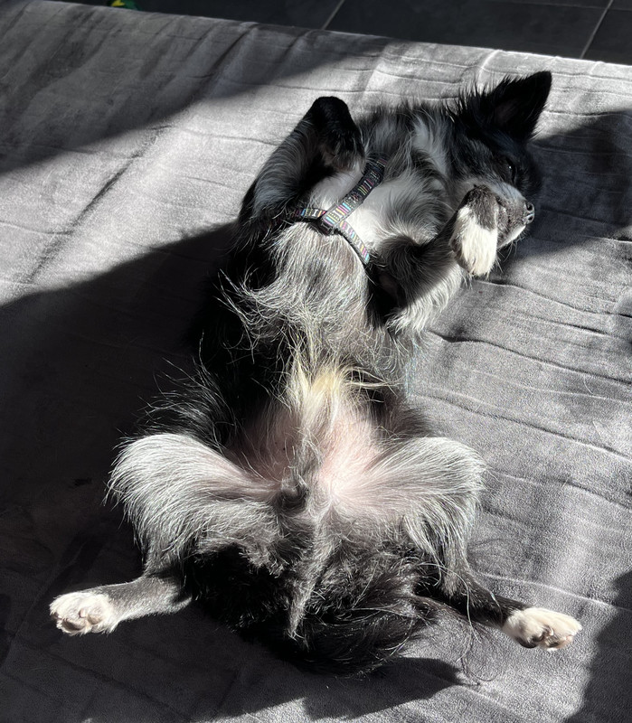 [Image: IMG-1414.jpg]