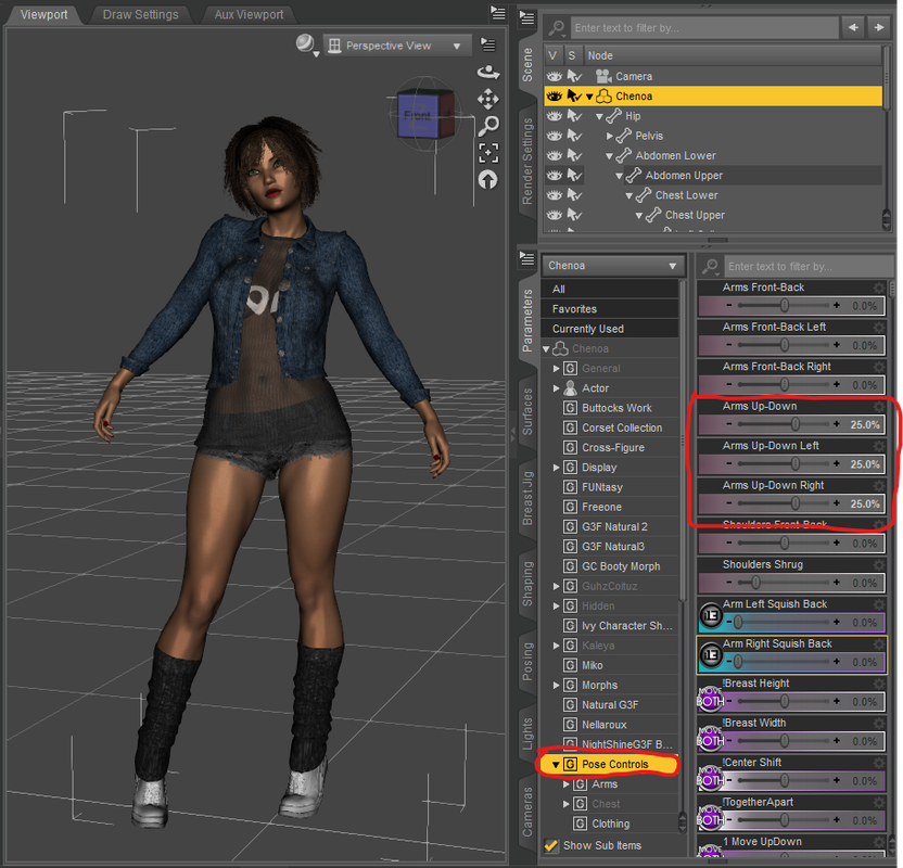 Pose Controls
