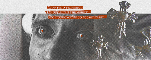https://i.postimg.cc/4y9TVFRW/image.png