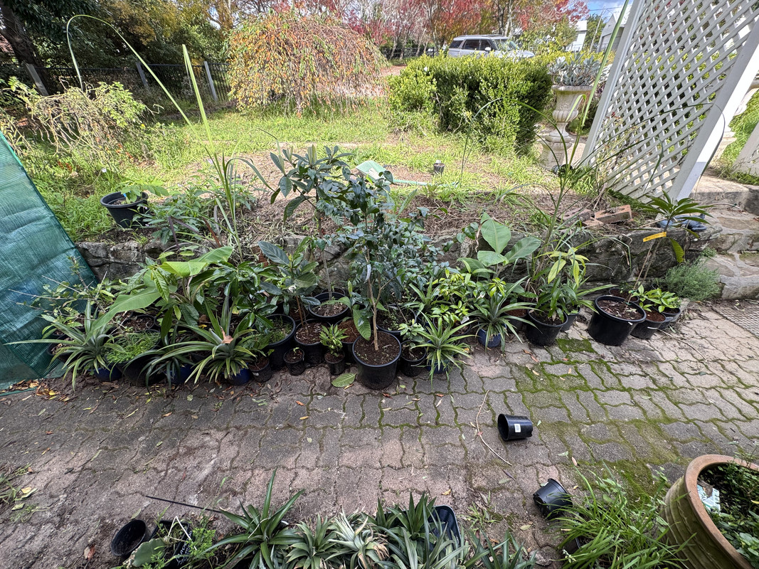 F80CDAB3-86DD-4B7C-A7B8-EA4915F9CC87