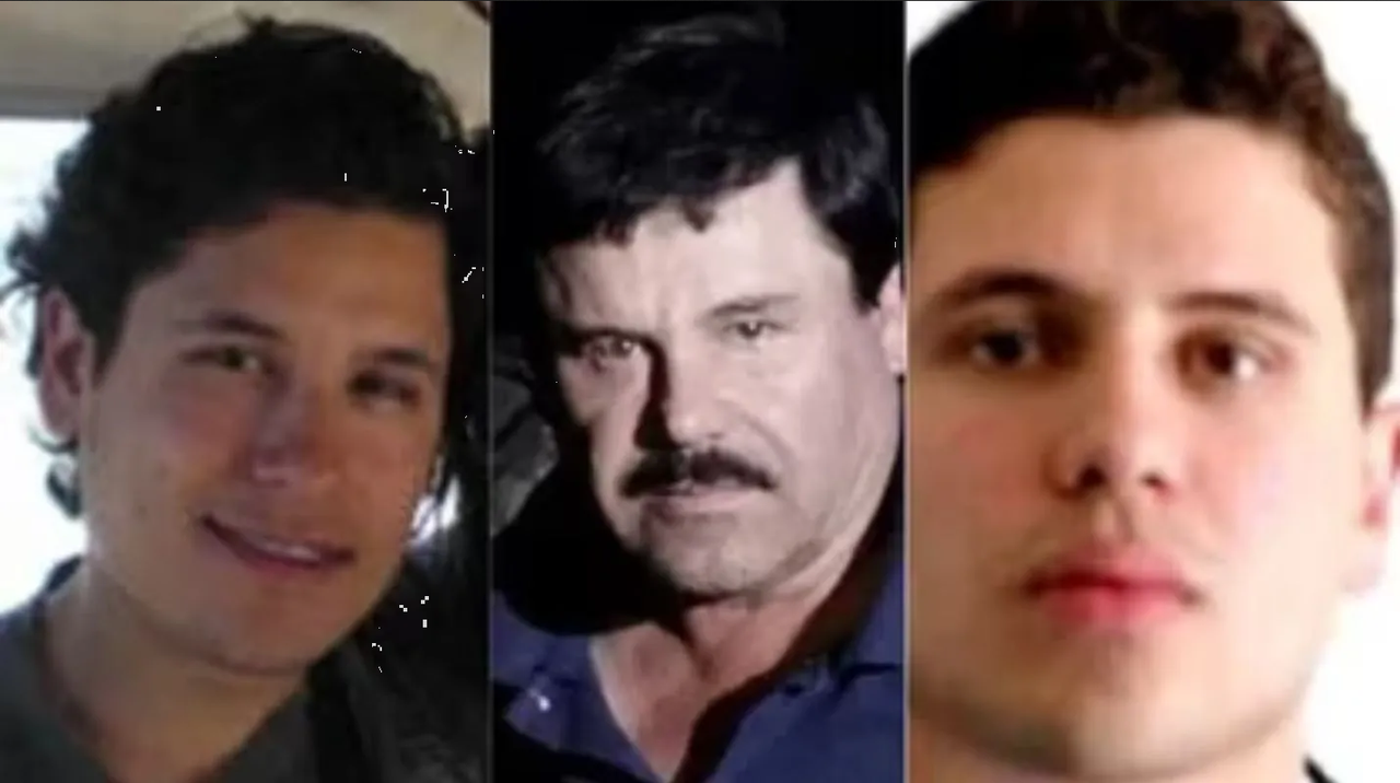 Esto estudió César Guzmán, hijo del Chapo que rechazó al Cártel de Sinaloa