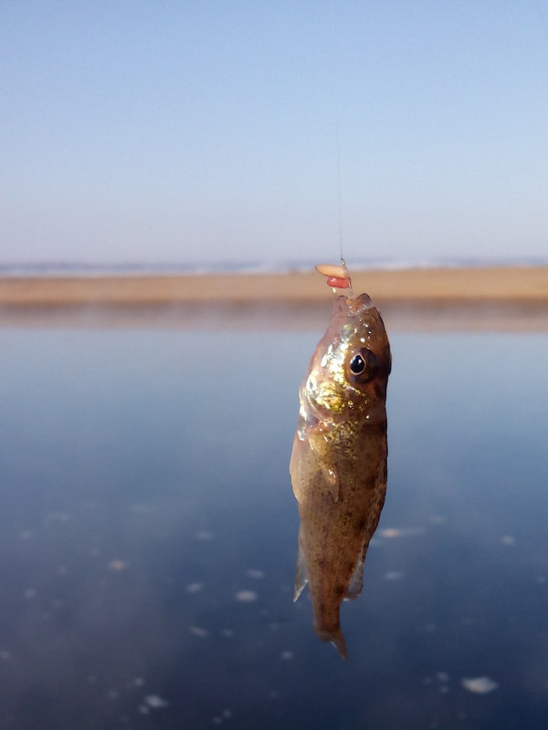 Добрянка 03.04.15 00