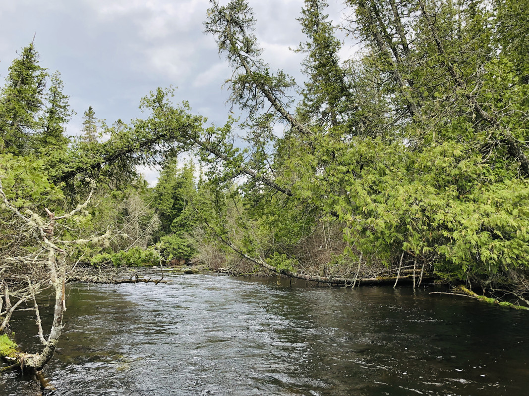 FD9D06B3-A651-40E9-9676-81F3FE5C820E