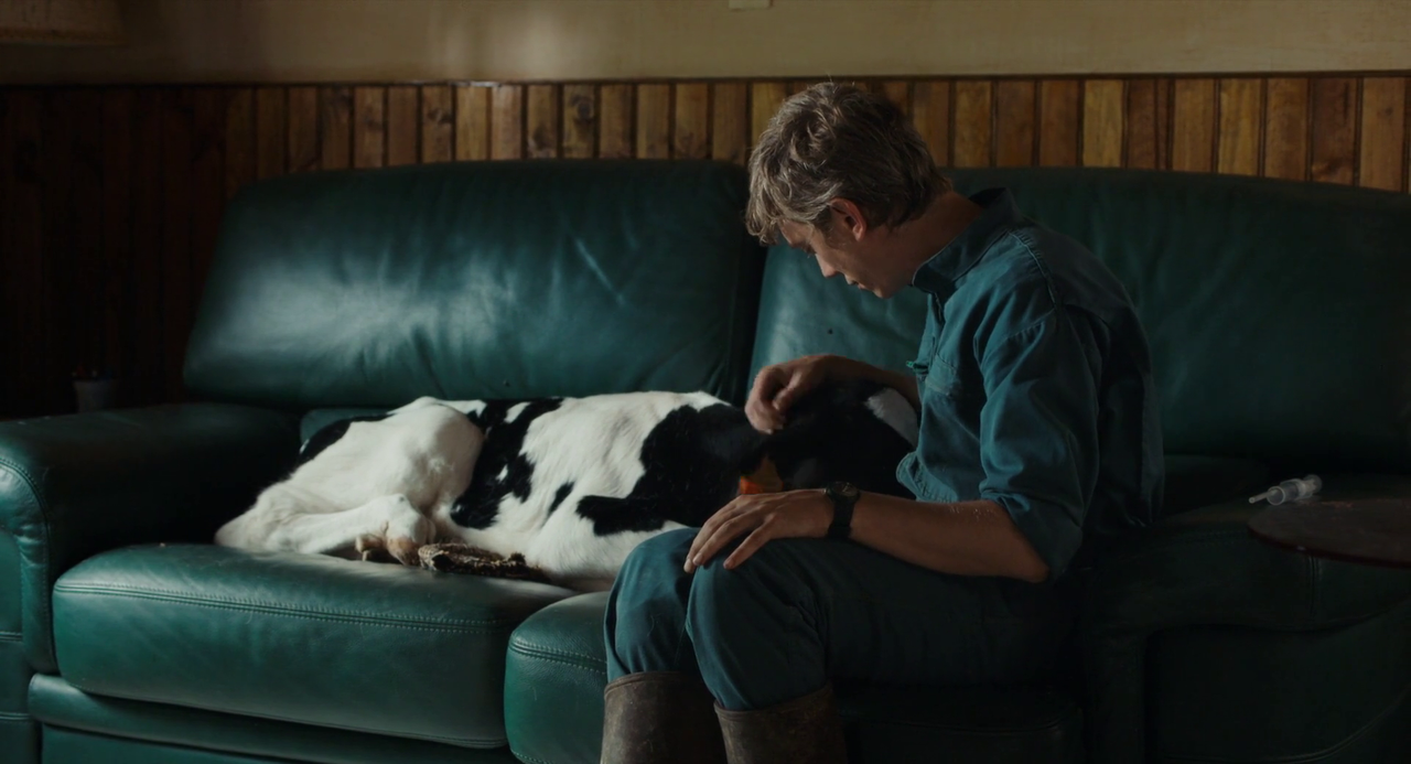 Petit Paysan - Un eroe singolare (2017) ITA FRE BDRip 1080p x264 - iDN_CreW