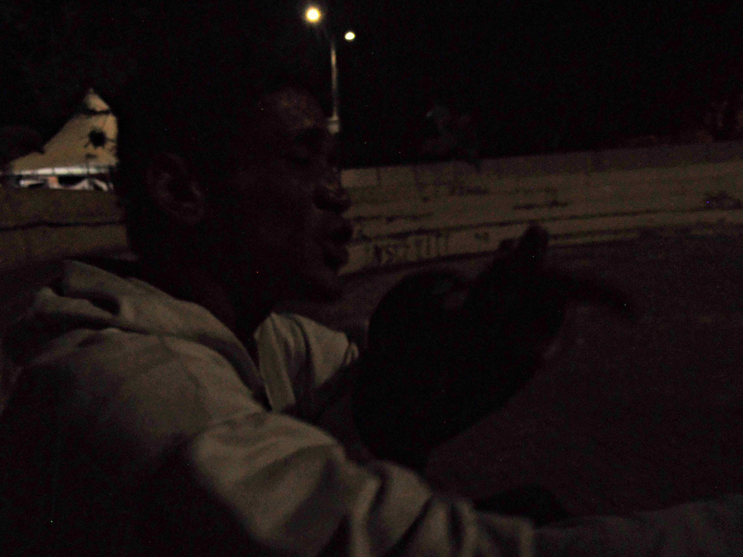 40.5.creatures of the night V (bright up)