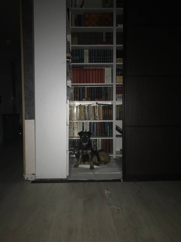 AFBFC5B2-8A9F-47DC-8D57-6B285B43538E