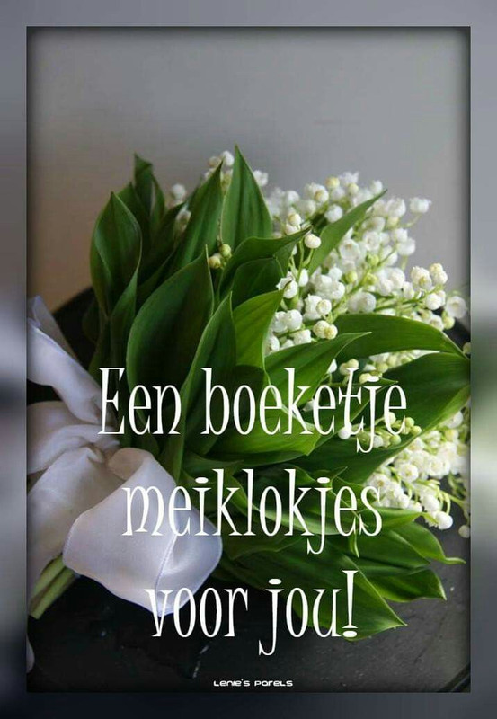 f9c3d02d0f0d26c11ae965aa0d34e552