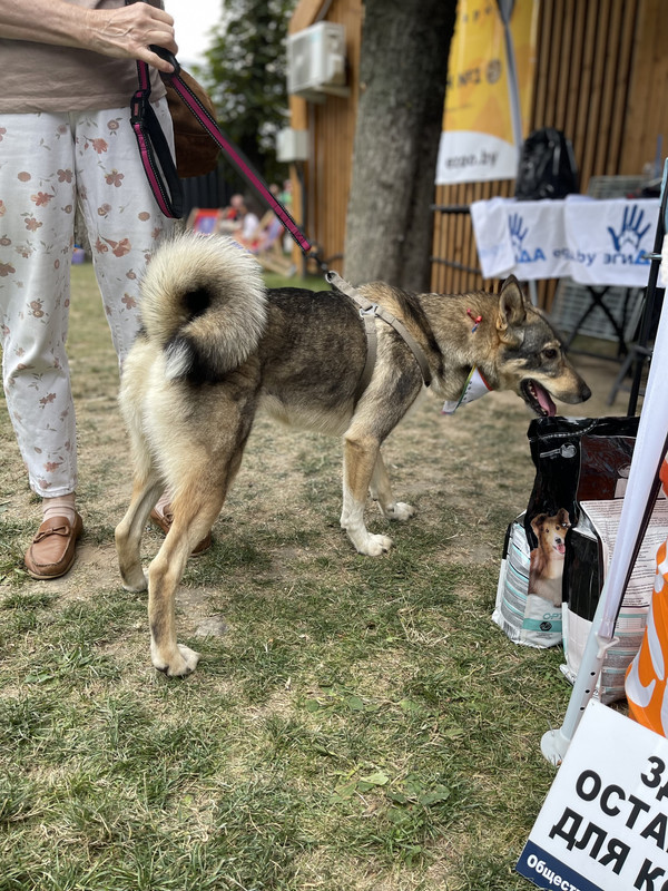 D03A3DA0-87C8-4544-A47B-62D0C877A1EF