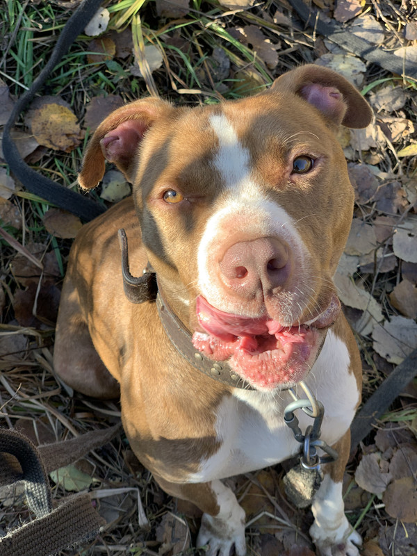 591E1644-D2CF-4596-975C-AF3D469DE5D7