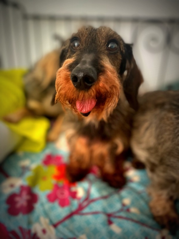 [Image: IMG-3182.jpg]