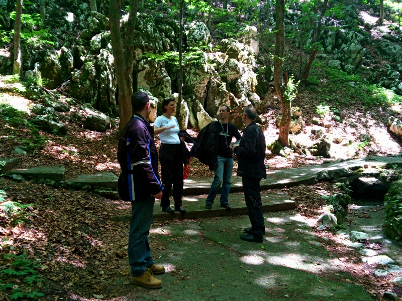 DSC-0092.jpg