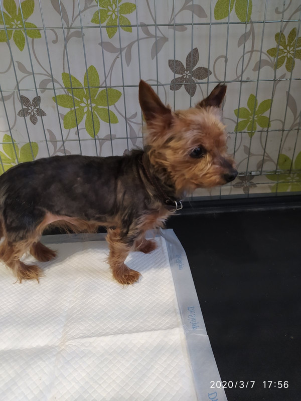 7F8F0352-B30D-45FD-8AFE-24D0864B43BB