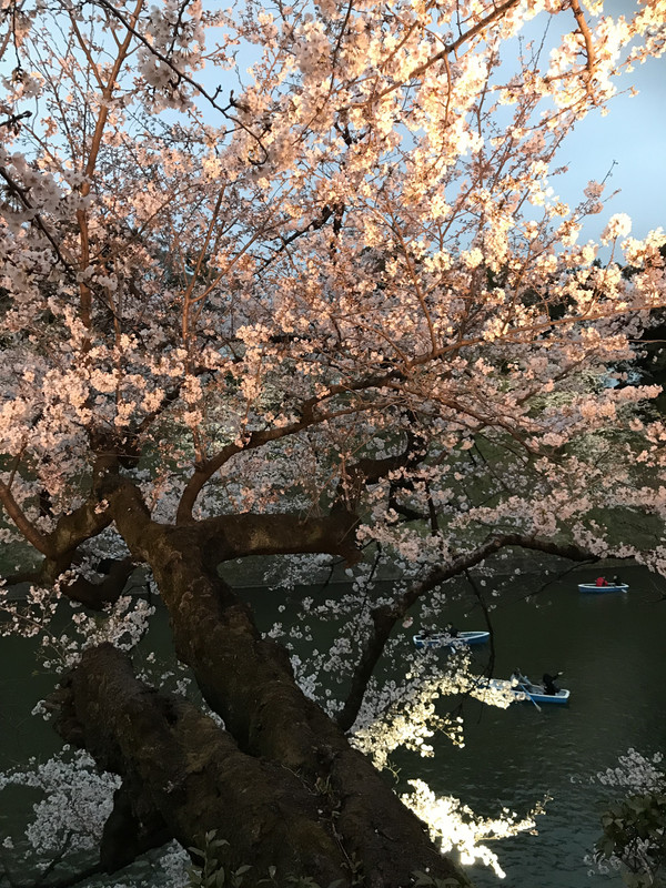 9BF7F882-61BA-4BB6-98E8-FA2169ADB239