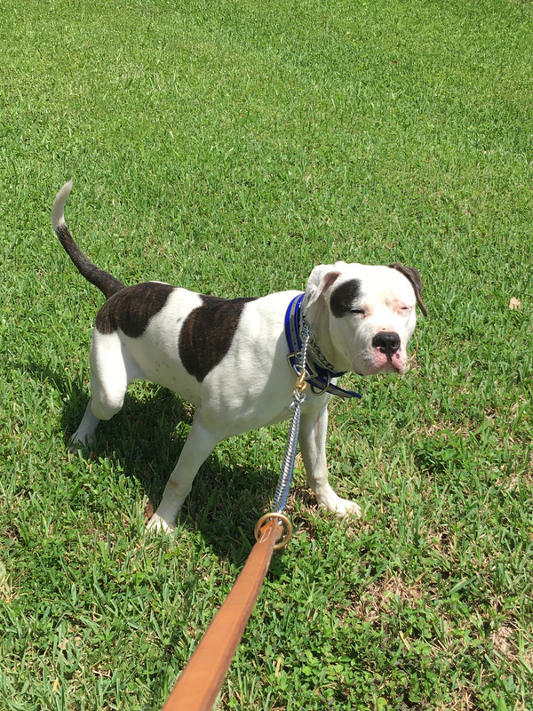 A385247E-A9E8-4FC4-AC3B-7B50F47B1CB3