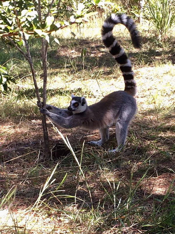 18698357-10154485550150703-4534690180238