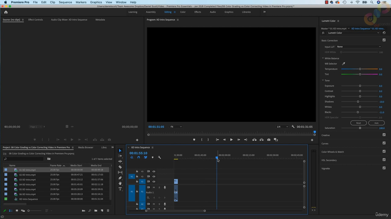 10 Color Grading vs Color Correcting Video in Premiere Pro mp4 0001