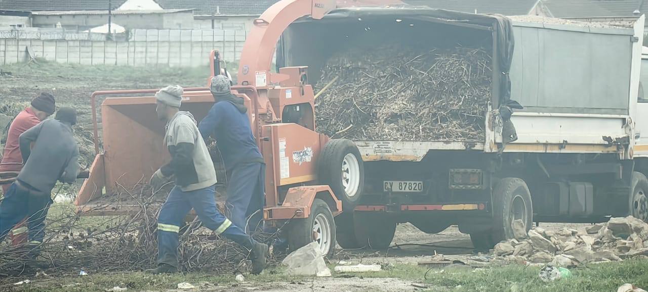 Environmental consultant in the field
