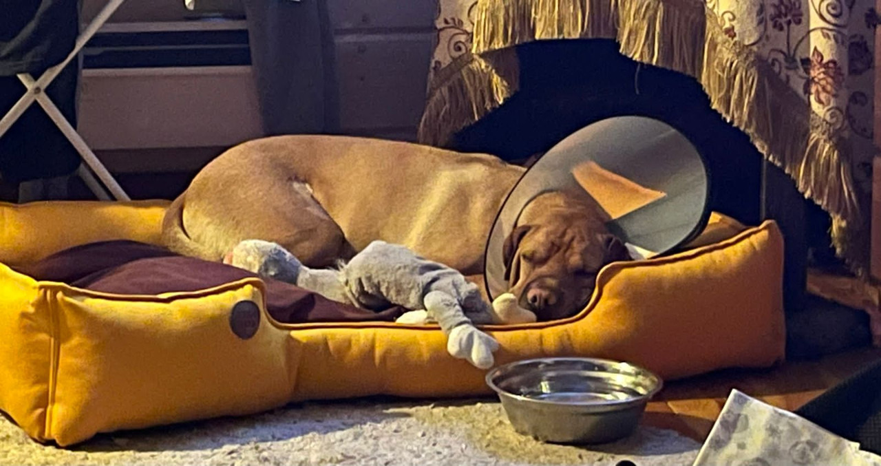 C0BA901A-5032-4623-B933-E430446EB655